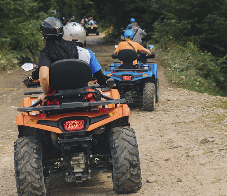 ATV D