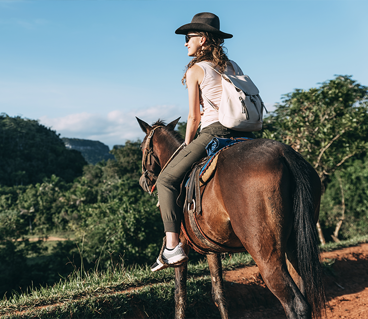 Caballo