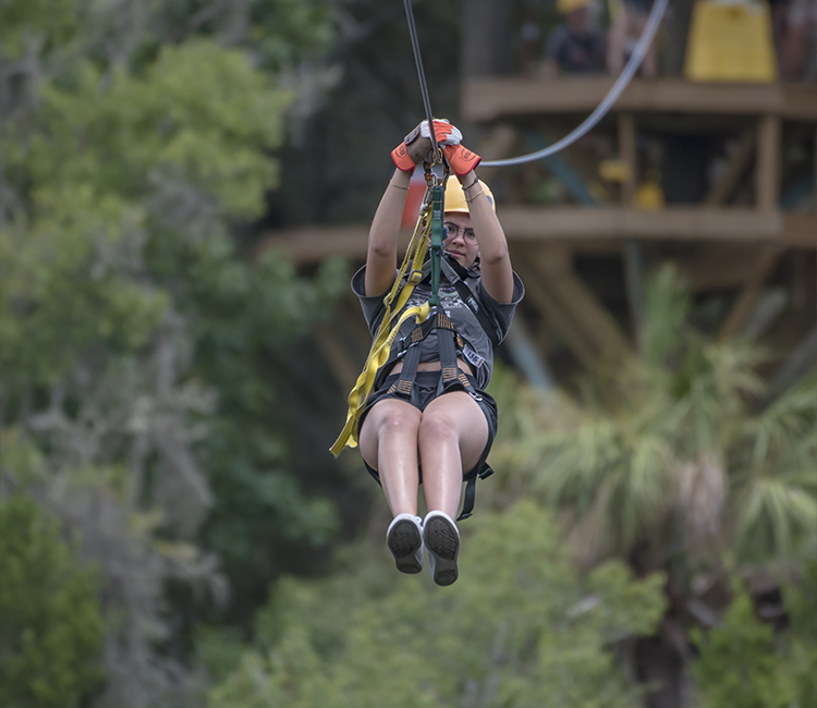 Canopy
